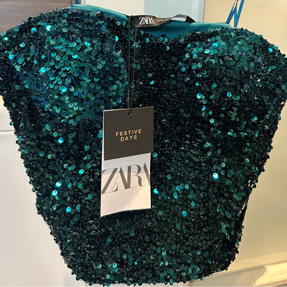 Brand New Zara Sequin Sparkle Tube Top